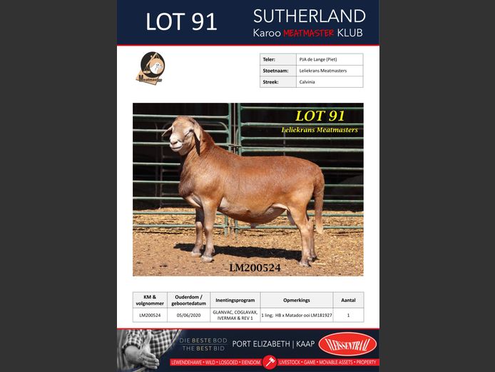 1x RAM | DE LANGE PJA