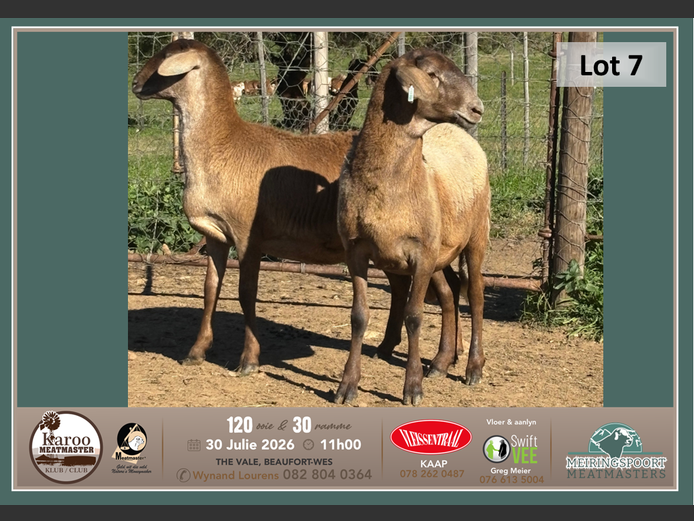 DH 065 | Tiaan Lourens - Meiringspoort Meatmasters