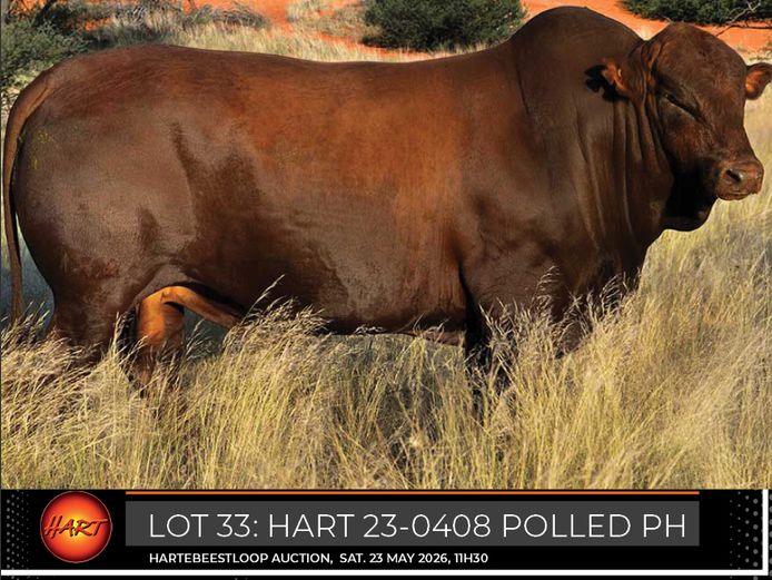 HART230408Pp(c) | HARTEBEESTLOOP BONSMARA