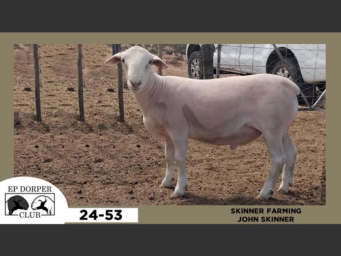 24-53  |  JOHN SKINNER - SKINNER FARMING