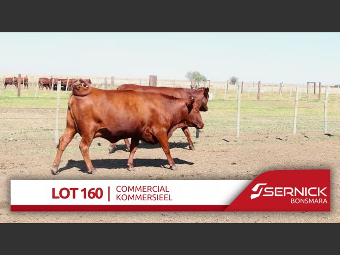 Commercial Animals