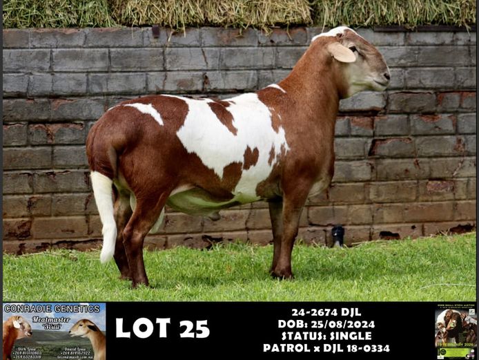 24-2674 DJL | DIRK LOUW