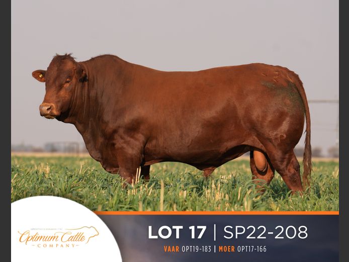 SP  220208