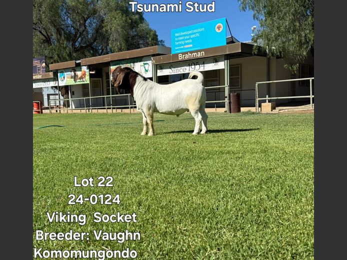 24-0124VMK | VAUGHN KOMOMUNGONDO