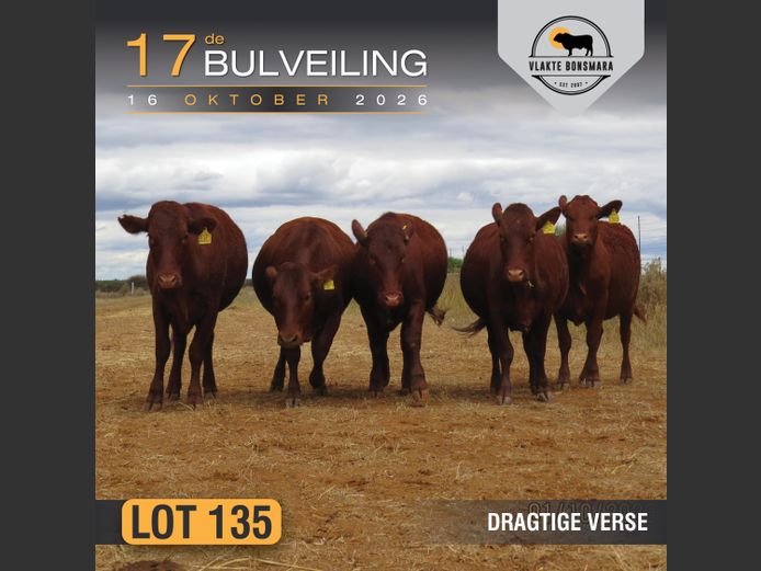Commercial Animals | Harlou Familie Trust
