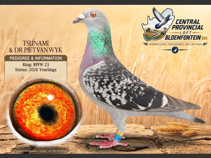 BPFW 23 2026 | TSUNAMI & DR PIET VAN
WYK
