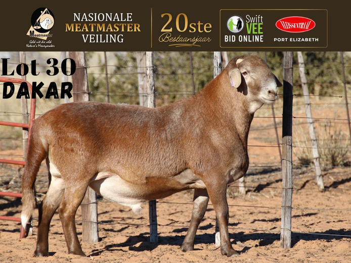 VM 25 460 | Vrede Meatmasters