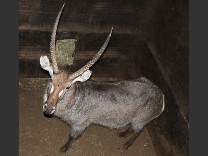 WATERBOK