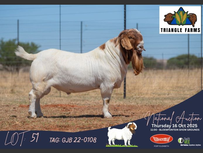 GJB 22-0108 | Jimmy Roberts (Triangle Farms)