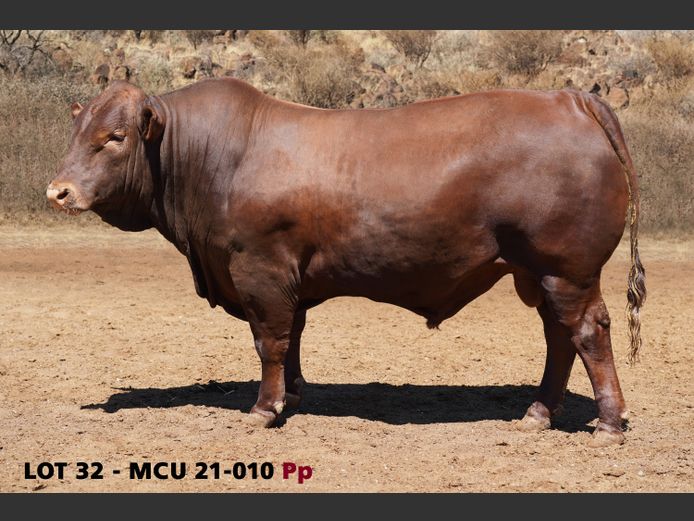 MCU21-0010