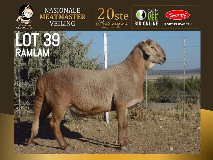 PB 25 73 | Pieraarspan Meatmasters