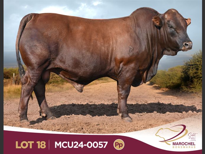 MCU240057 Pp(c)
