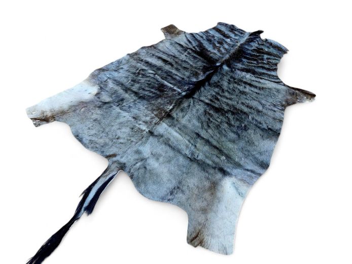 Genuine Wildebeest Hide Rug 