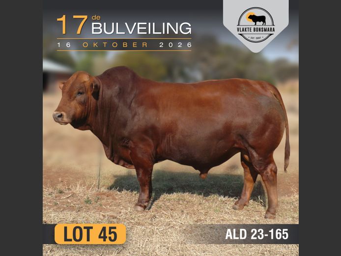 ALD230165 | ALDIGO BONSMARAS