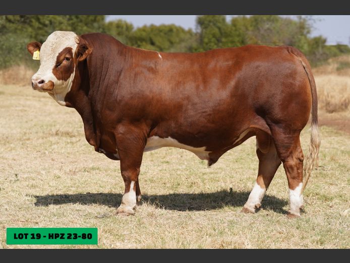 HPZ2380 | JP DU PREEZ BK