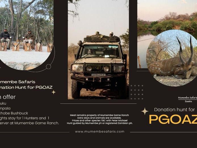 Mumembe Safaris - Plains Game Hunt 