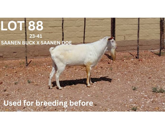 23-41 | H STRAUSS FARMING