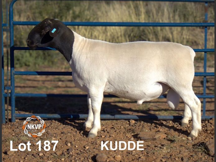 2052250150 | MNR. LOUIS VAN RENSBURG, H/A LEEUPUT TRUST