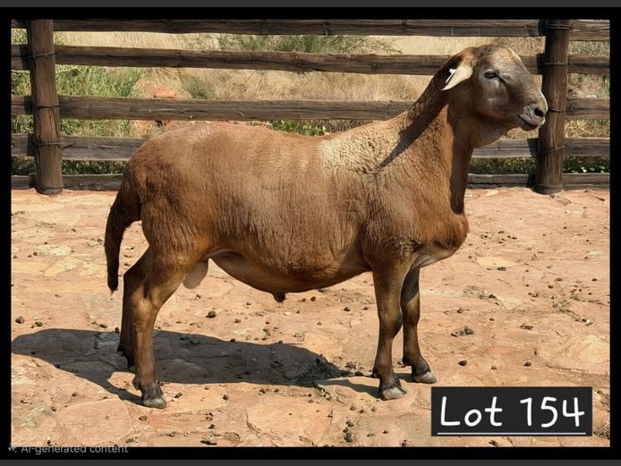 25-37 | PG VAN DEVENTER
