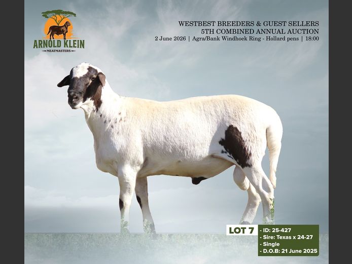 25-427 | ARNOLD KLEIN MEATMASTERS