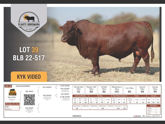 BLB 220517 | BOSLAND BOERDERY