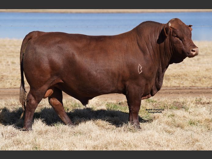 AG220116