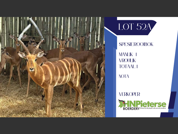 ROOIBOK | HN PIETERSE BOERDERY
