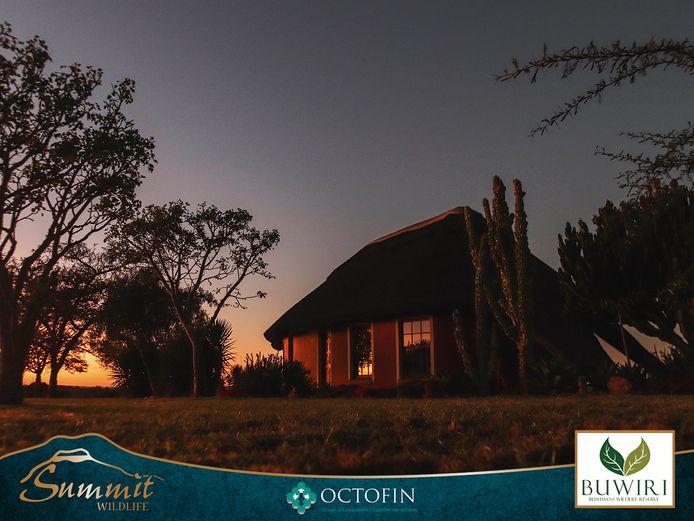 CHARITY LOT | BUWIRI BILTONG HUNT