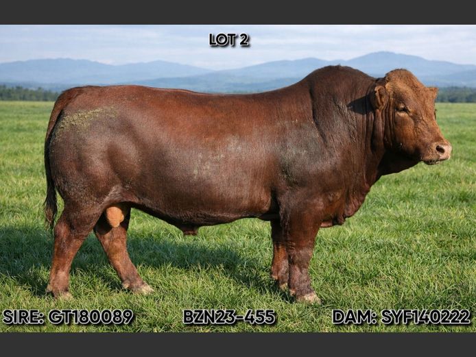 BZN 230455 | BASZOHN CATTLE CO