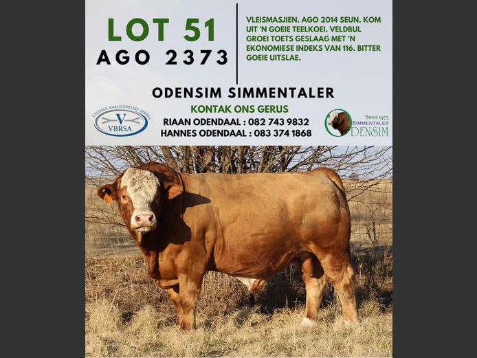 AGO2373 | AG ODENDAAL