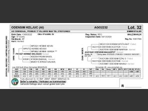 genetic_data