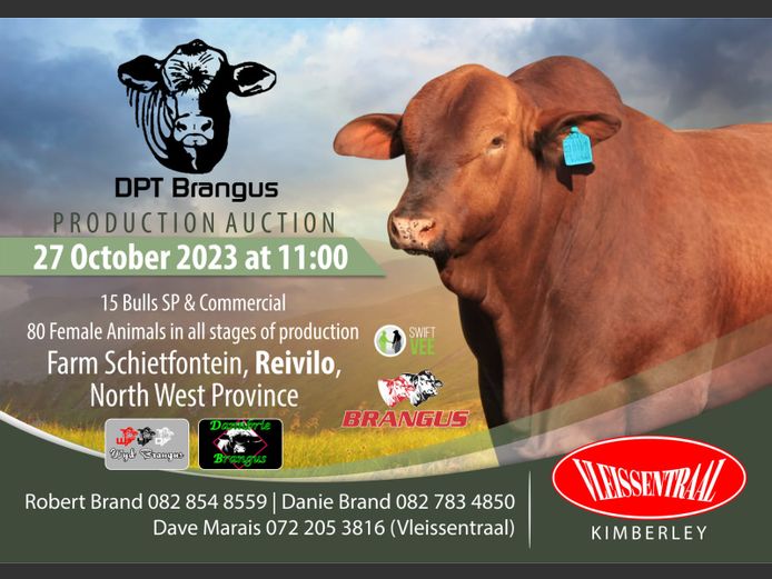 DPT BRANGUS PRODUCTION AUCTION