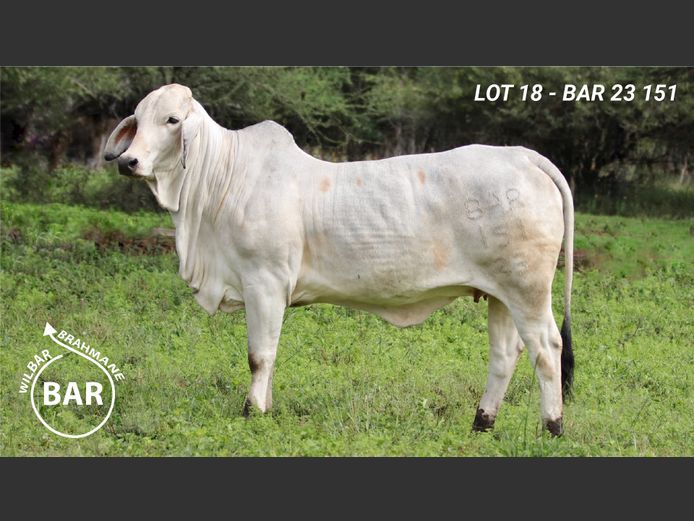 BAR23151 | BARNARD WJ