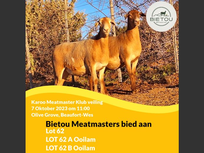 Ooi | BIETOU MEATMASTERS