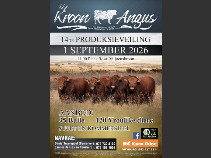 KROON ANGUS 14DE PRODUKSIEVEILING