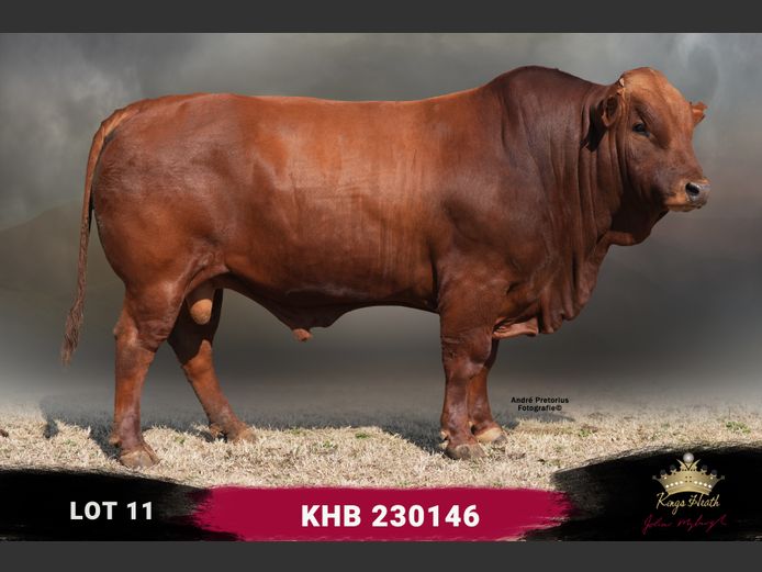 KHB 230146