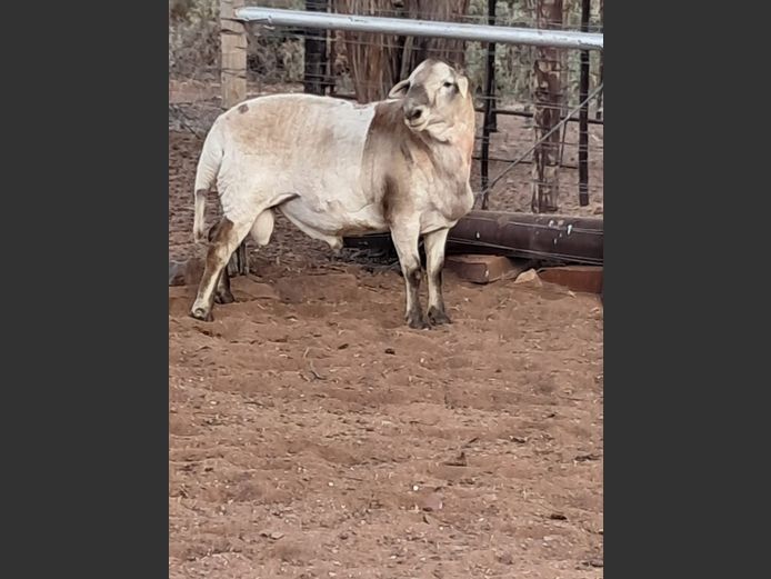 2024-16 | Zwartmodder
 boerdery