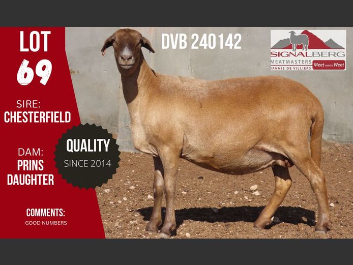 DVB 240142 | SIGNALBERG MEATMASTERS