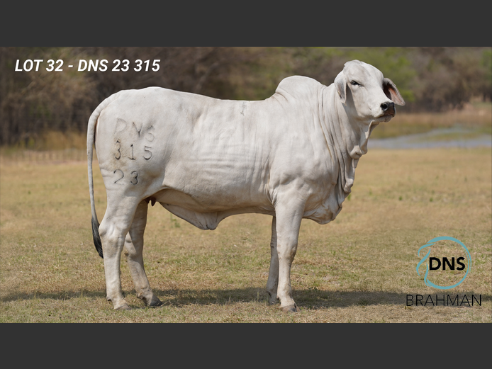 DNS23315 | JES-C BOERDERY (PTY) LTD