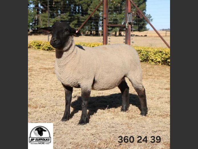 360240039 | J.I. POTGIETER