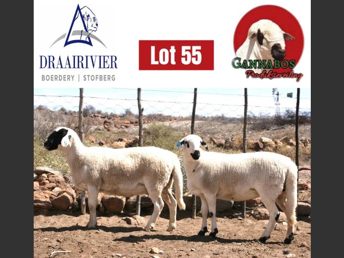 NS24-045 | Draairivier Boerdery