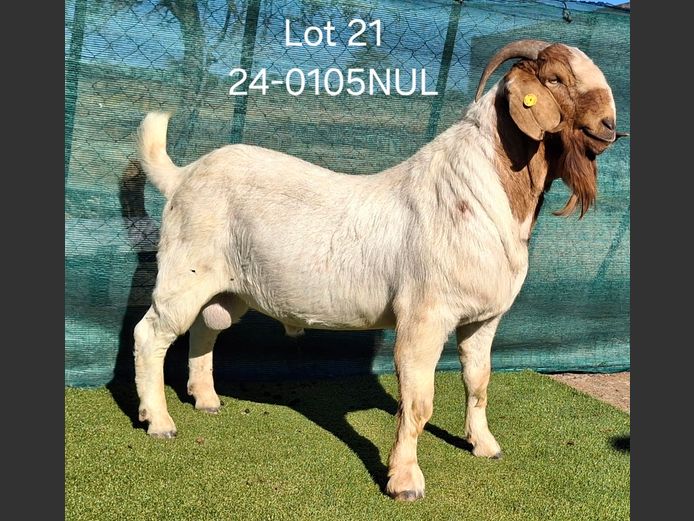 24-0105NUL | NICOLE ULRICH & EGBERT HOFF