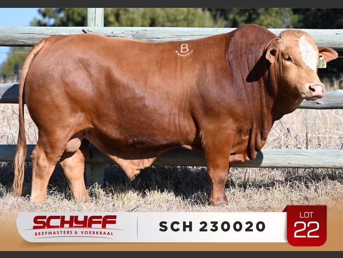 SCH 230020