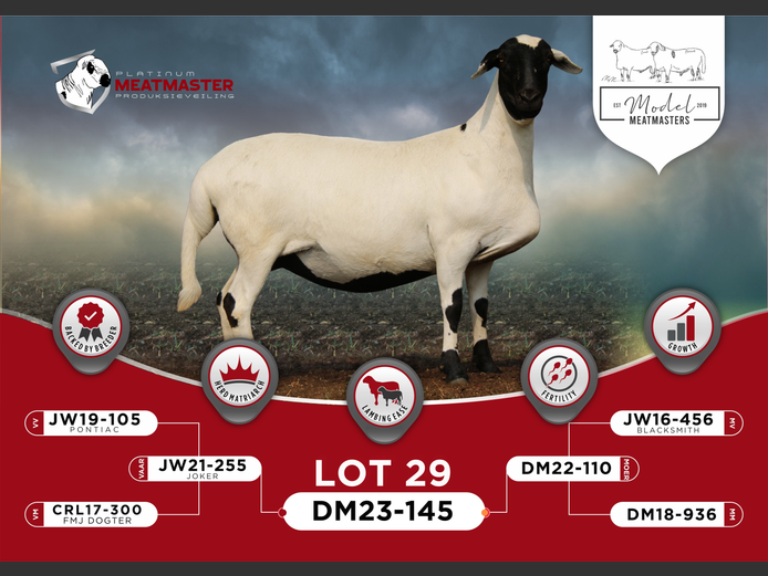 DM 23-0145 | Mario Marais - Model Meatmasters, Britz