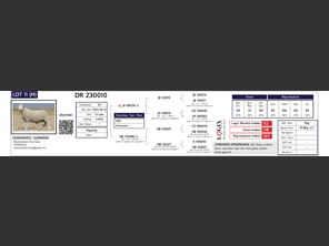 genetic_data