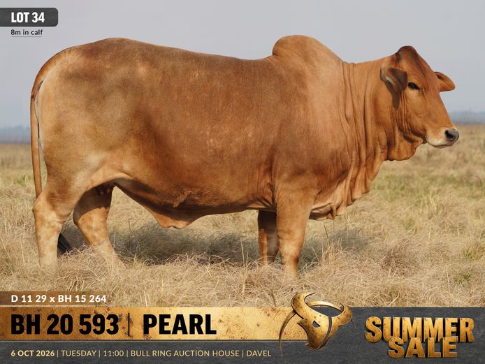BH200593 | B. HURWITZ FARMING