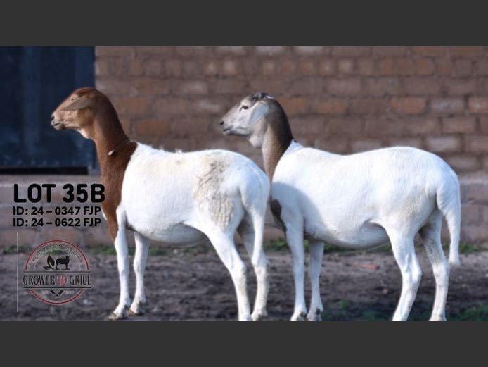 24-0347FJP | 24-0622FJP | GROWER TO GRILL STUD