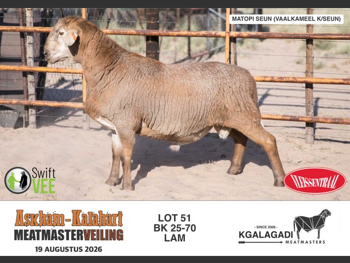 BK 25-70 | BARRI KNOETZE