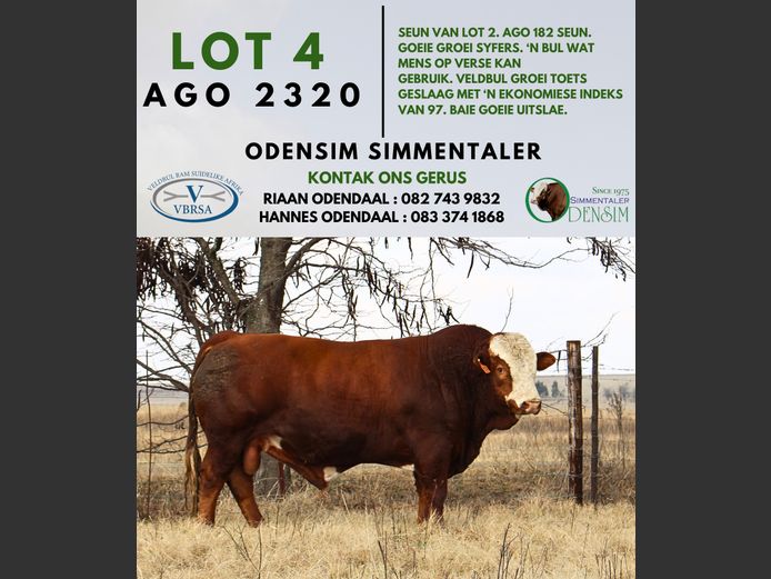 AGO2320 | AG ODENDAAL