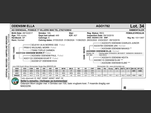 genetic_data
